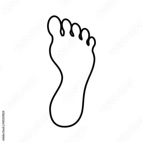 human foot plant icon vector illustration design
