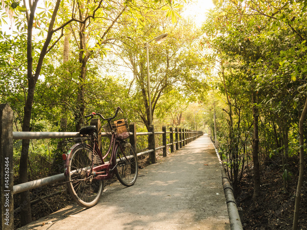 Fototapeta premium bike in the Long pathway in forest with sunlight in the morning