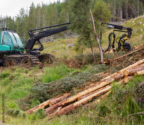 Heavy forestry vehicle harvester