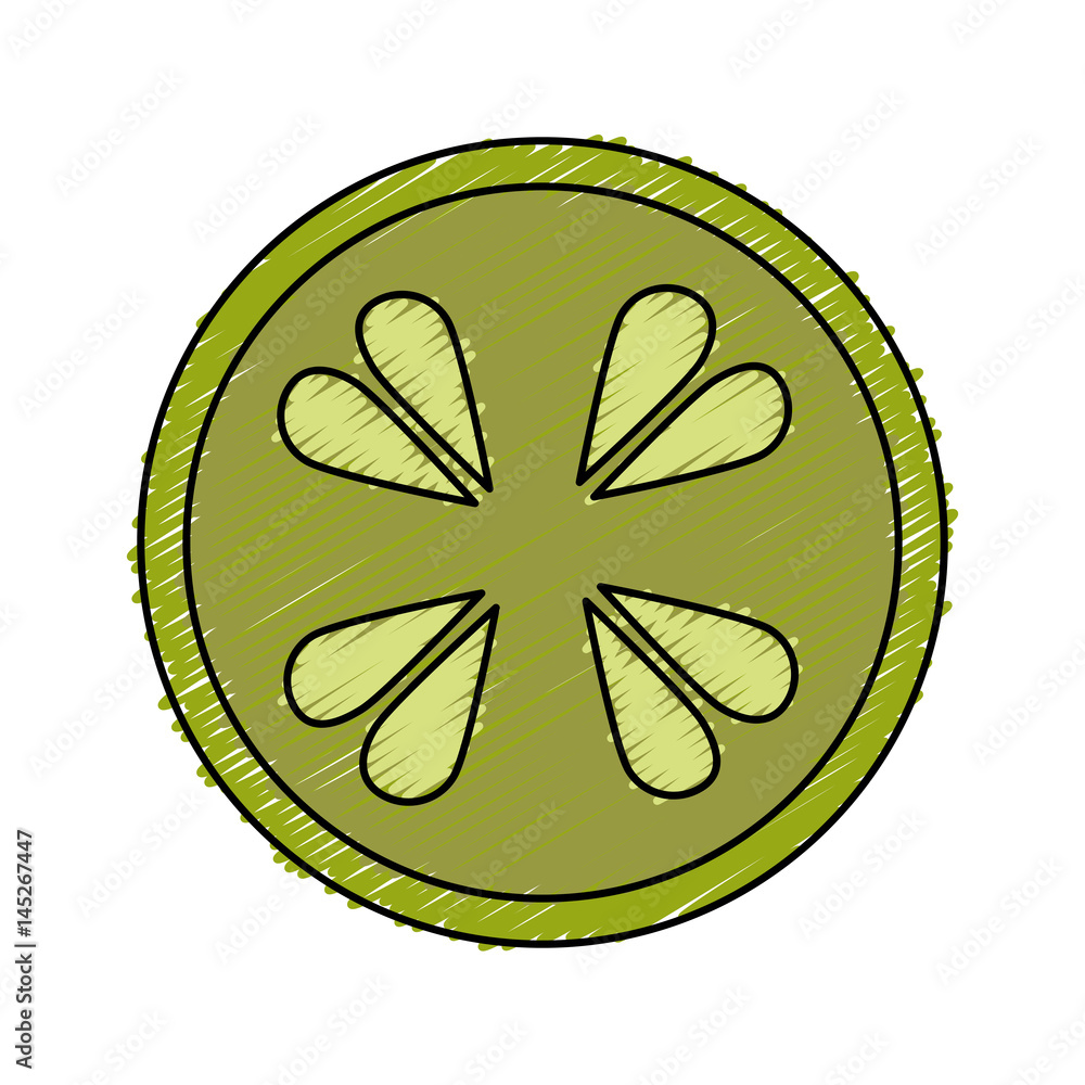 cucumber slice isolated icon vector illustration design cucumber slice isolated icon vector illustration design