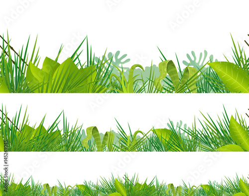 Seamless Jungle And Tropical Vegetation