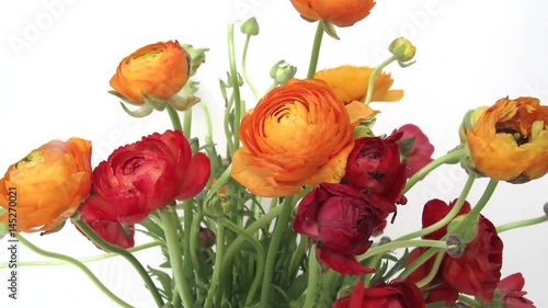 Wallpaper Mural Colorful Ranunculus flower bouquet Torontodigital.ca