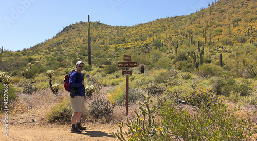 A Man Hikes the Go John Trail, Arizona photo