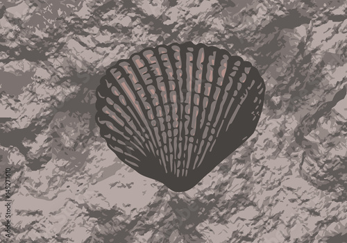 fossils