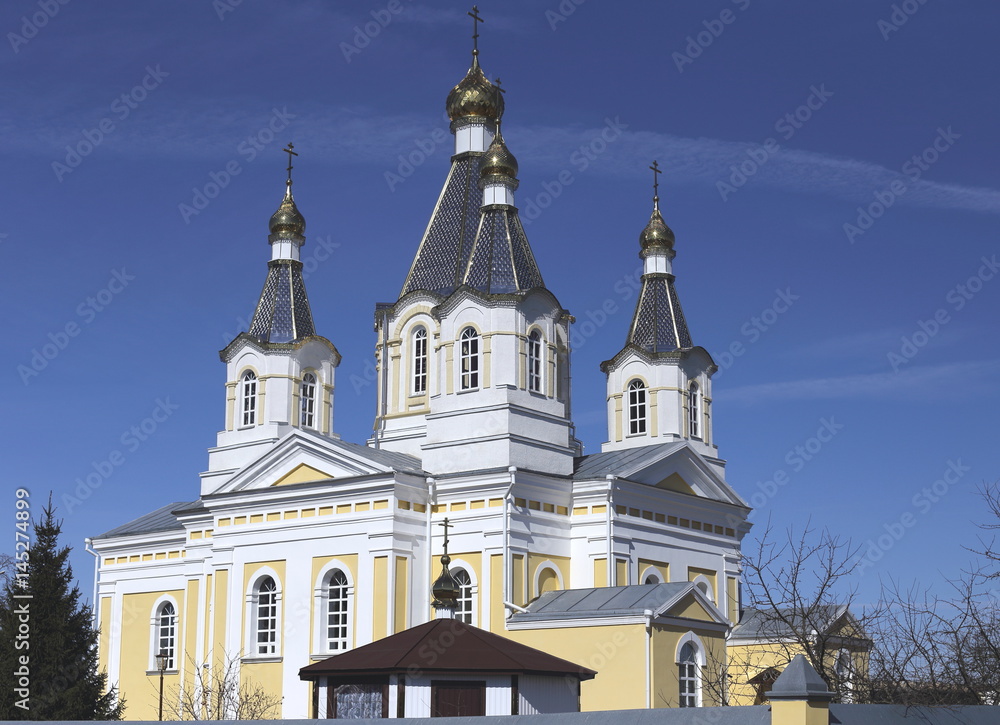 Naklejka premium A temple of white color against the blue sky. Golden domes . Near are fir trees. 