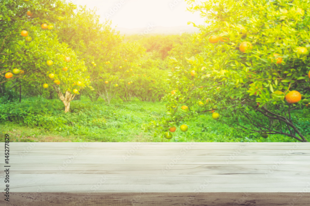 Wood table top with blur of orange garden in the morning.For montage product display design key visual layout Wood table top with blur of orange garden in the morning.For montage product display design key visual layout