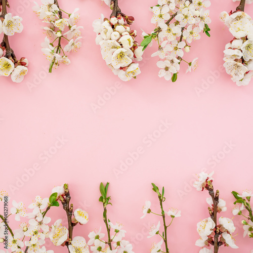 Frame of spring white flowers on pink background. Flat lay, top view. Spring time background.