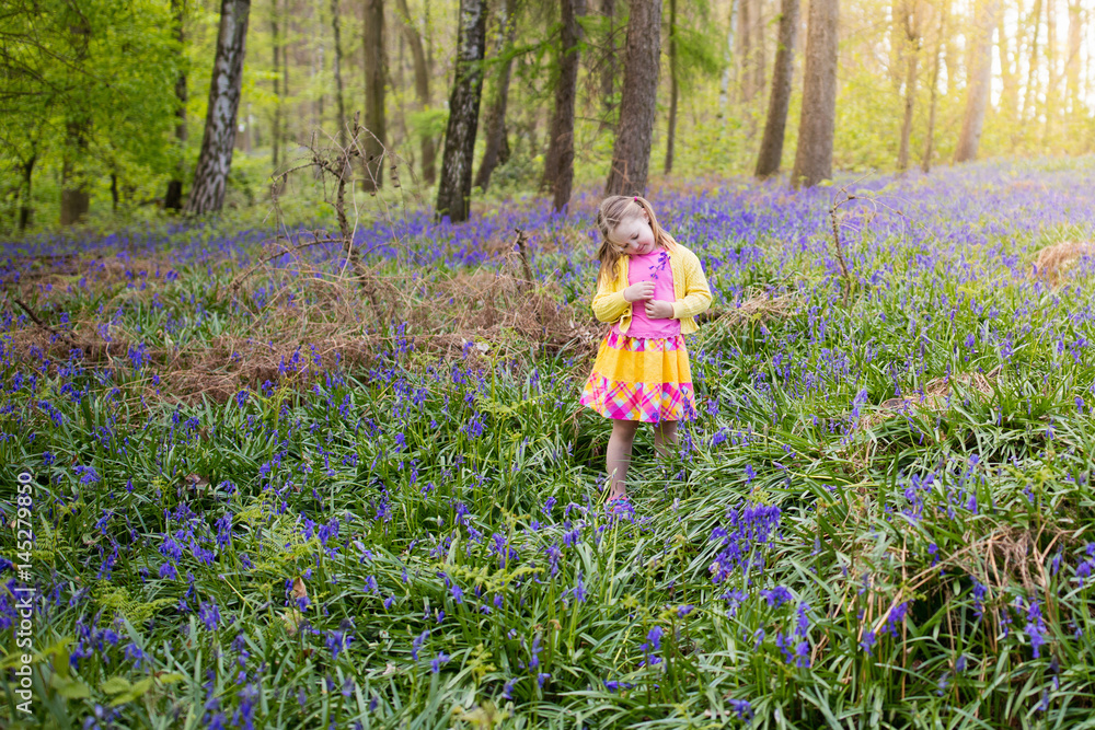 Child with bluebell flowers in spring forest Child with bluebell flowers in spring forest