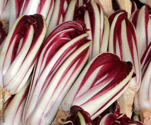 Background of red radicchio in winter