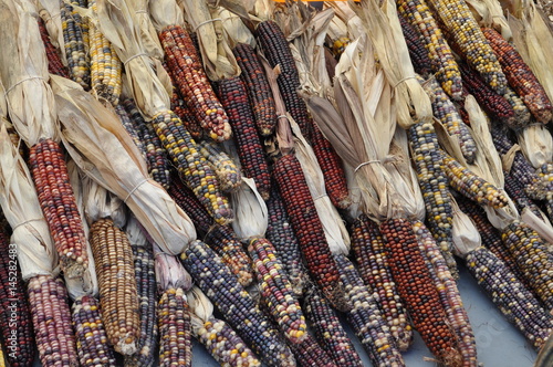 Maiskolben (Corn) auf einem Markt in Montreal, Quebec, Kanada photo