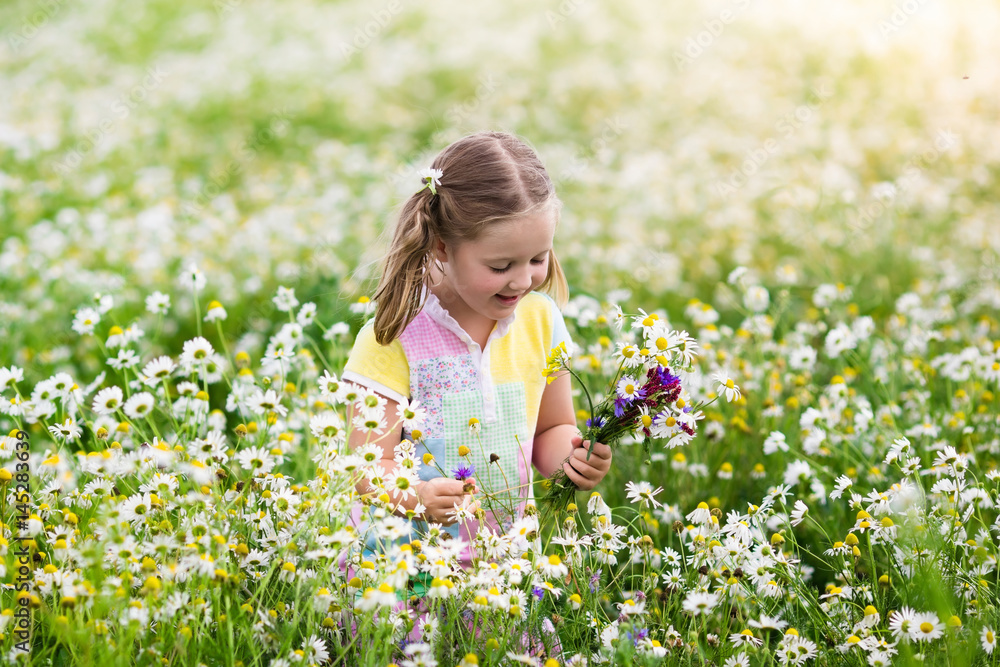 Little girl picking flowers in daisy field Little girl picking flowers in daisy field
