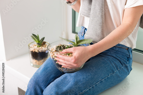 Flower pots with succulents photo