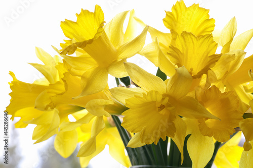Bouquet of daffodils on the windowsill