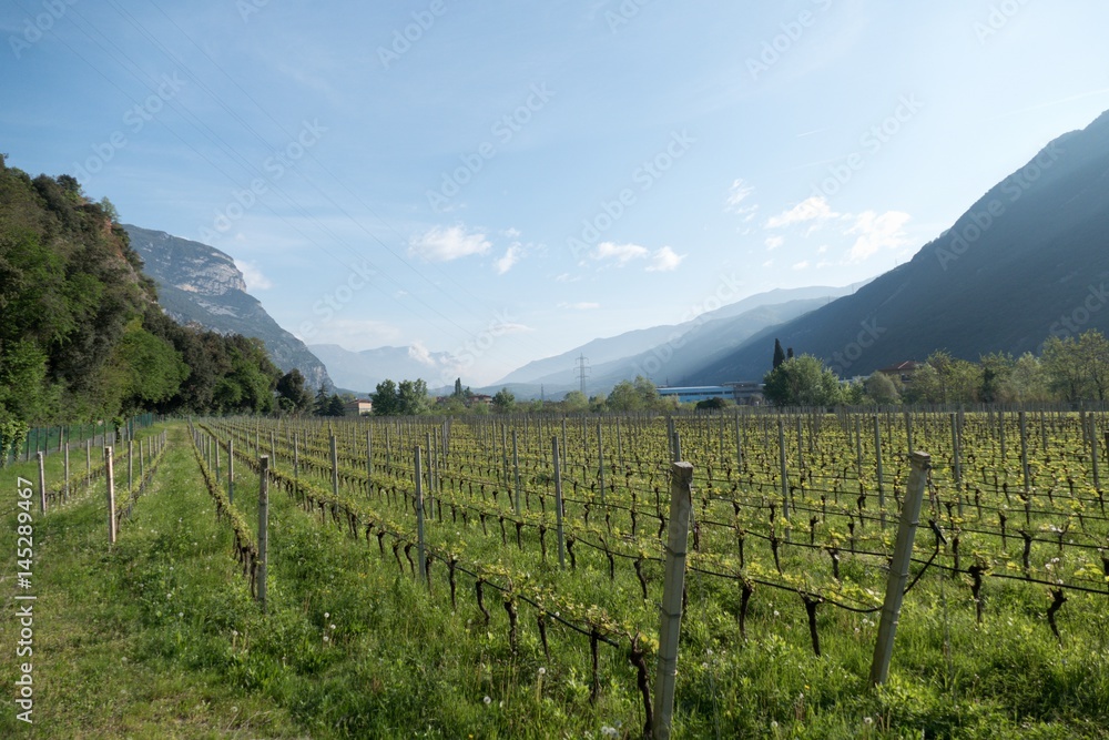 valley of the Sarca river in trentino alto adige