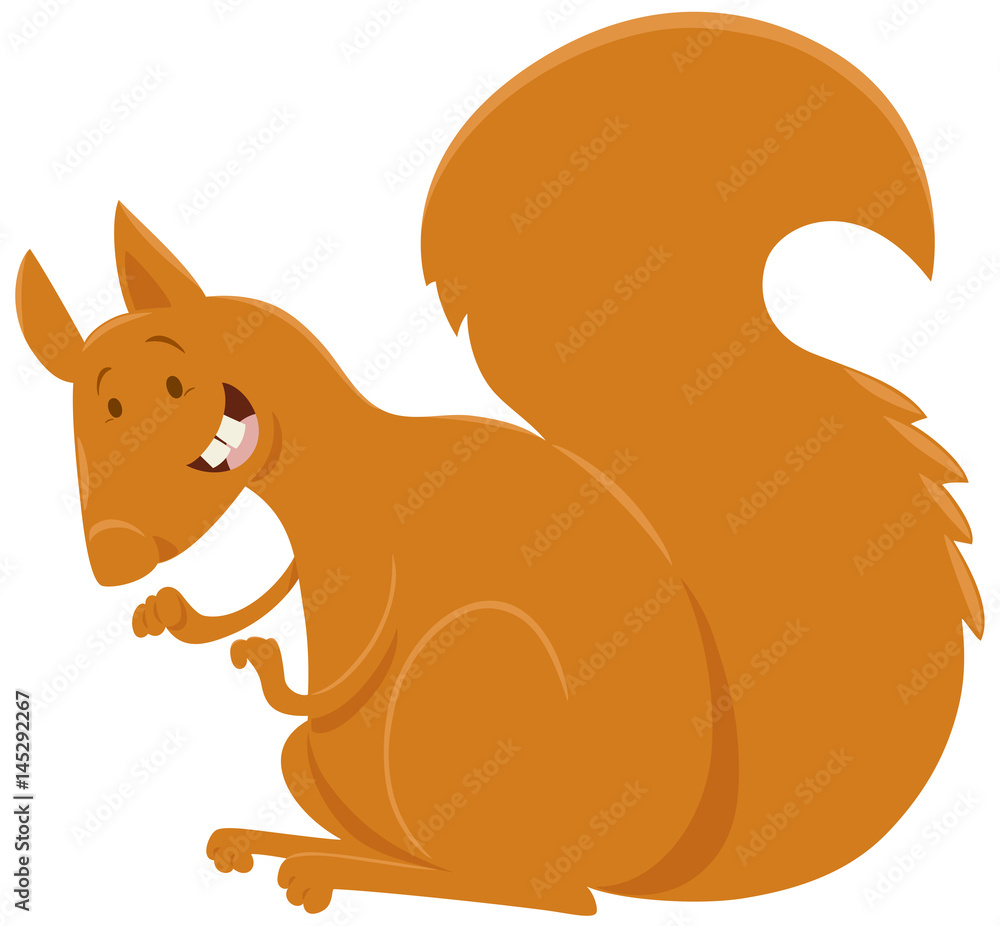 squirrel cartoon animal character squirrel cartoon animal character