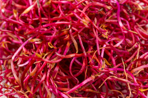 Macro photo of red delicious beetroot sprouts 