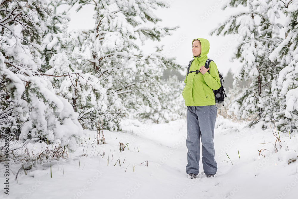 hiker woman walking on winter forest. Hiking on winter nature snowy forest. Bushcraft concept