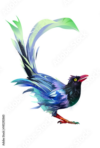 Bright painted bird on a white background photo