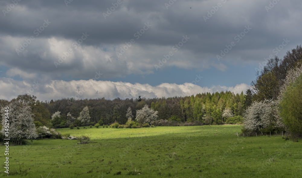 Green cloudy day in Ceske Stredohori mountains