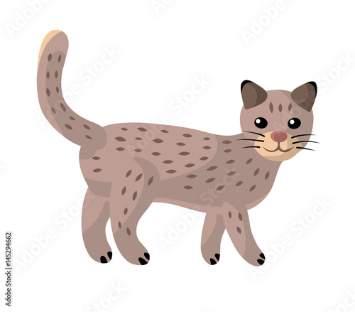 Cat walking isolated.