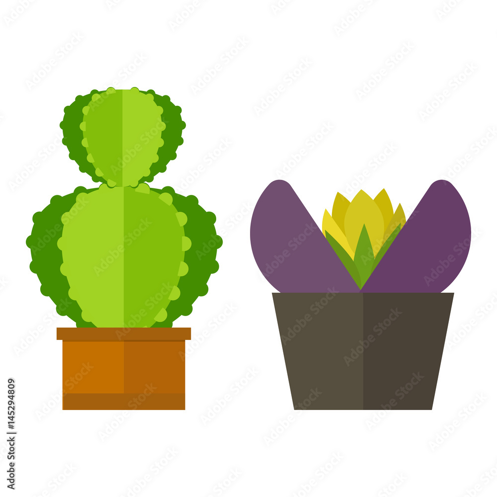 Cactus nature desert flower green mexican succulent tropical plant cacti floral vector illustration. Cactus nature desert flower green mexican succulent tropical plant cacti floral vector illustration.