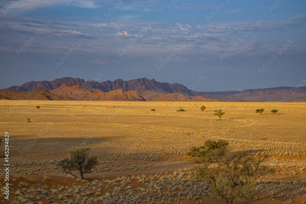 Deserto namibiano
