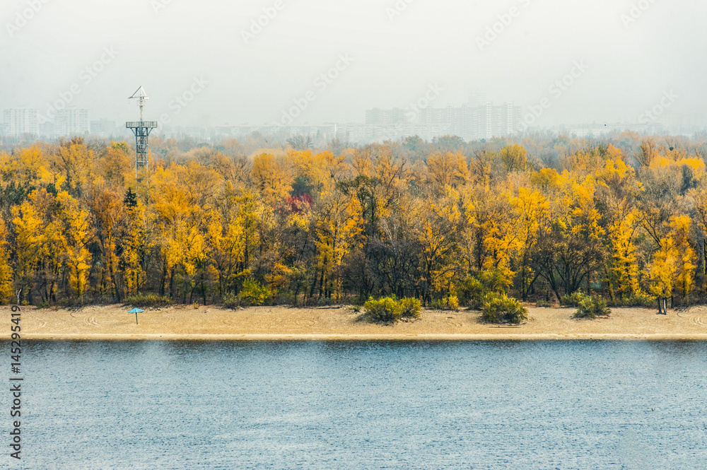 Clean autumn beach with colorful trees Clean autumn beach with colorful trees