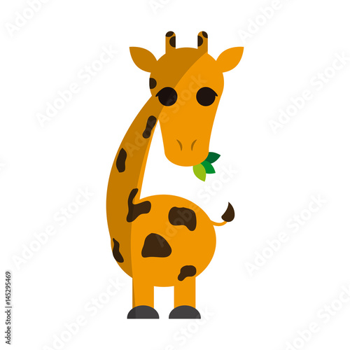 giraffe animal cartoon icon over white background. colorful design. vector illustration