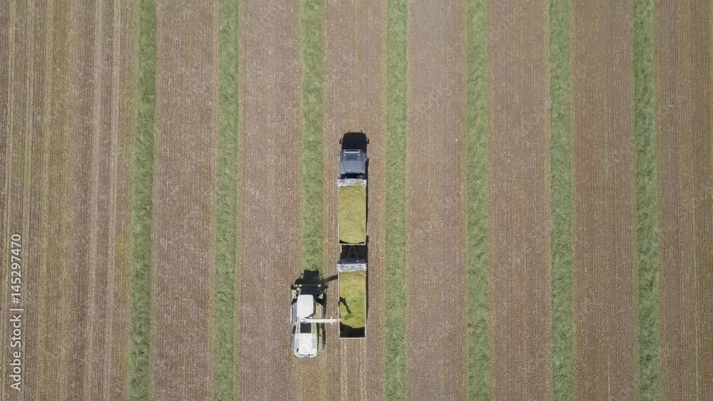 Combine harvesting a green field and unloads wheat onto a double trailer truck - Top down aerial footage Combine harvesting a green field and unloads wheat onto a double trailer truck - Top down aerial footage