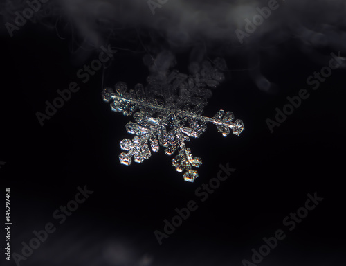 Snowflake crystal transparen standing  at the dark bright at the nightl photo