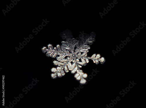 Snowflake crystal transparen standing at the dark isolated at black