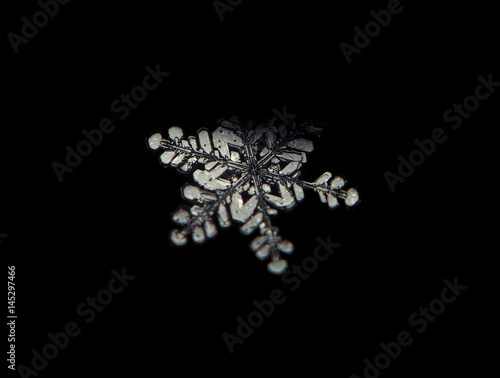 Snowflake crystal transparen standing at dark isolated at black