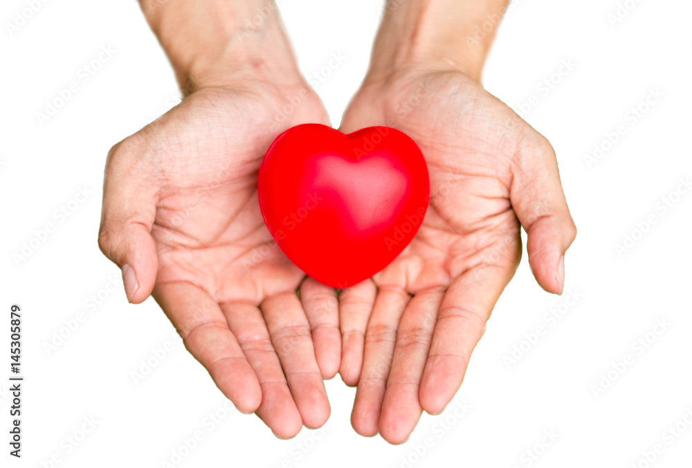 holding a red heart in hand holding a red heart in hand