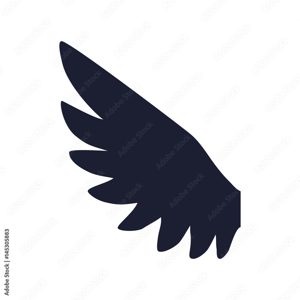 Fototapeta premium Feathers wing silhouette