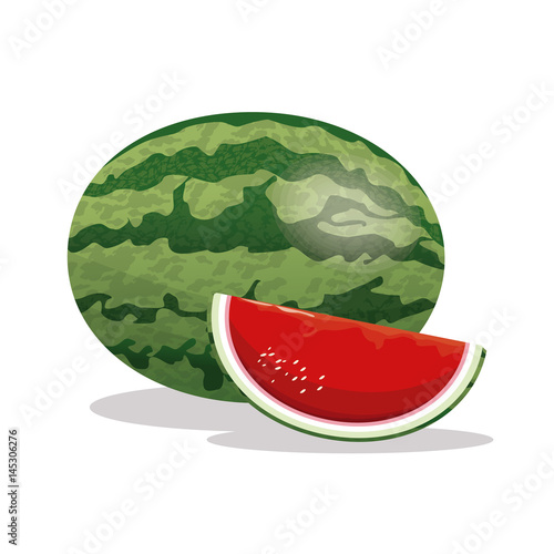 watermelon fruit fresh harvest vector illustration eps 10