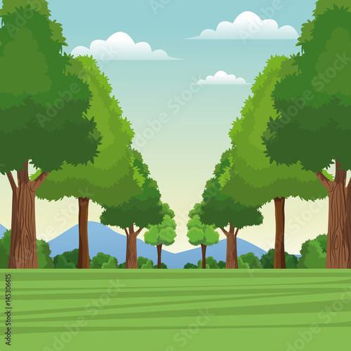 tree forest natural sky meadow mountain vector illustration eps 10
