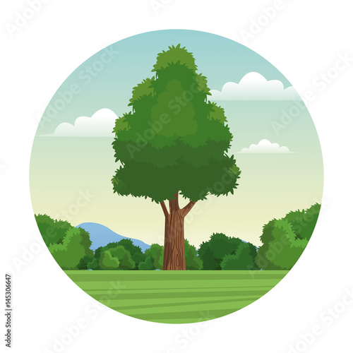 tree wood forest landscape stamp vector illustration eps 10 photo