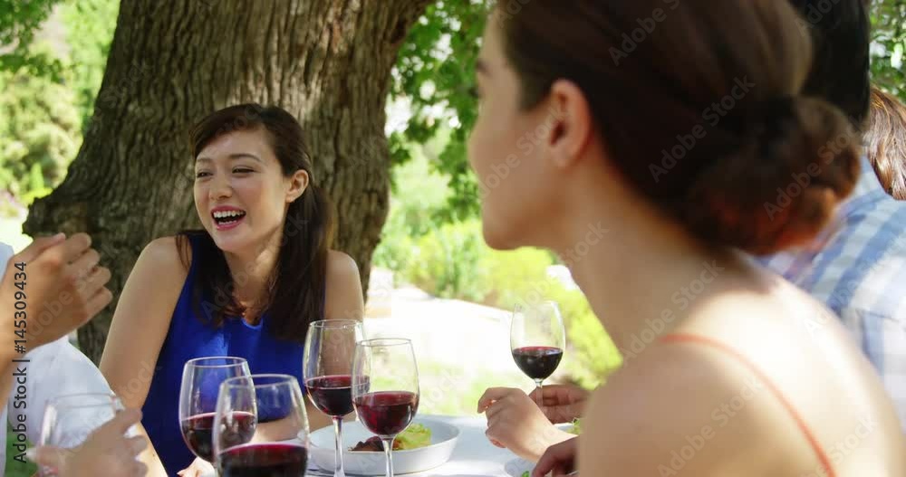 Group of friends interacting with each other while having lunch Group of friends interacting with each other while having lunch