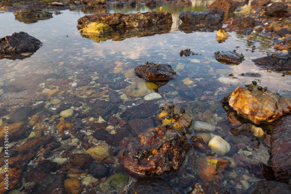 Beautiful nature, tropical beach with clear water and stones. reflection and cloudy blue sky background