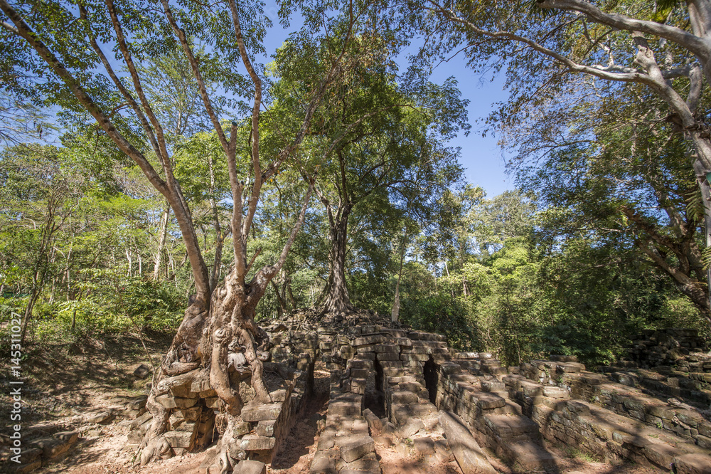 Angkor Wat complex, Ancient Khmer architecture and Ta Prohm temple with giant banyan tree., Siem Reap, Cambodia travel destinations Angkor Wat complex, Ancient Khmer architecture and Ta Prohm temple with giant banyan tree., Siem Reap, Cambodia travel destinations