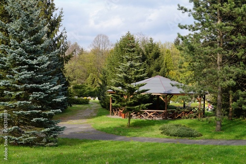 Wooden gazebo in spring parks - relax and unwind - beautiful green areas of the city 