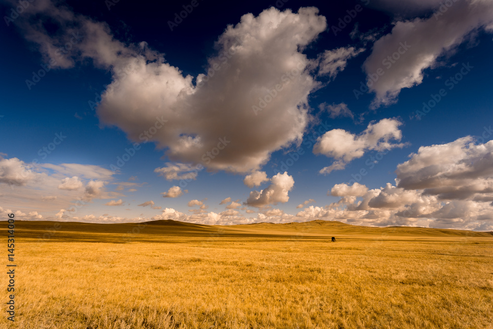 Beautiful landscape with golden autumn field and dramatic clouds over. Brown horse away on pasture as small detail.