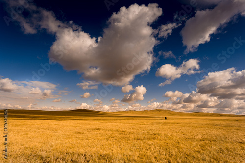 Beautiful landscape with golden autumn field and dramatic clouds over. Brown horse away on pasture as small detail.