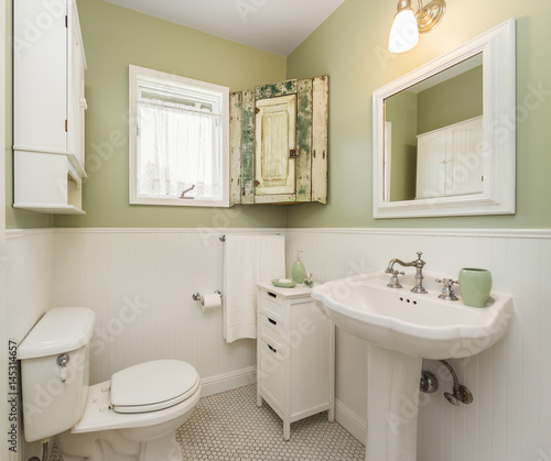 Vintage style bathroom with olive colored walls and accents