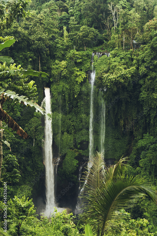Fototapeta premium Sekumpul Waterfall in the jungle with clear water falling on stone cliffs and green trees all around, Bali, Indonesia