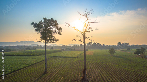 beautiful view of green fields