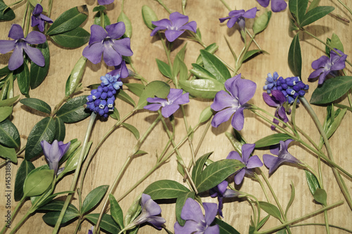 spring flowers on wooden background