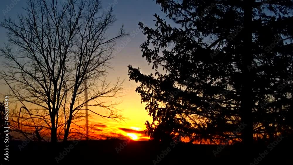 Trees and sunset Trees and sunset