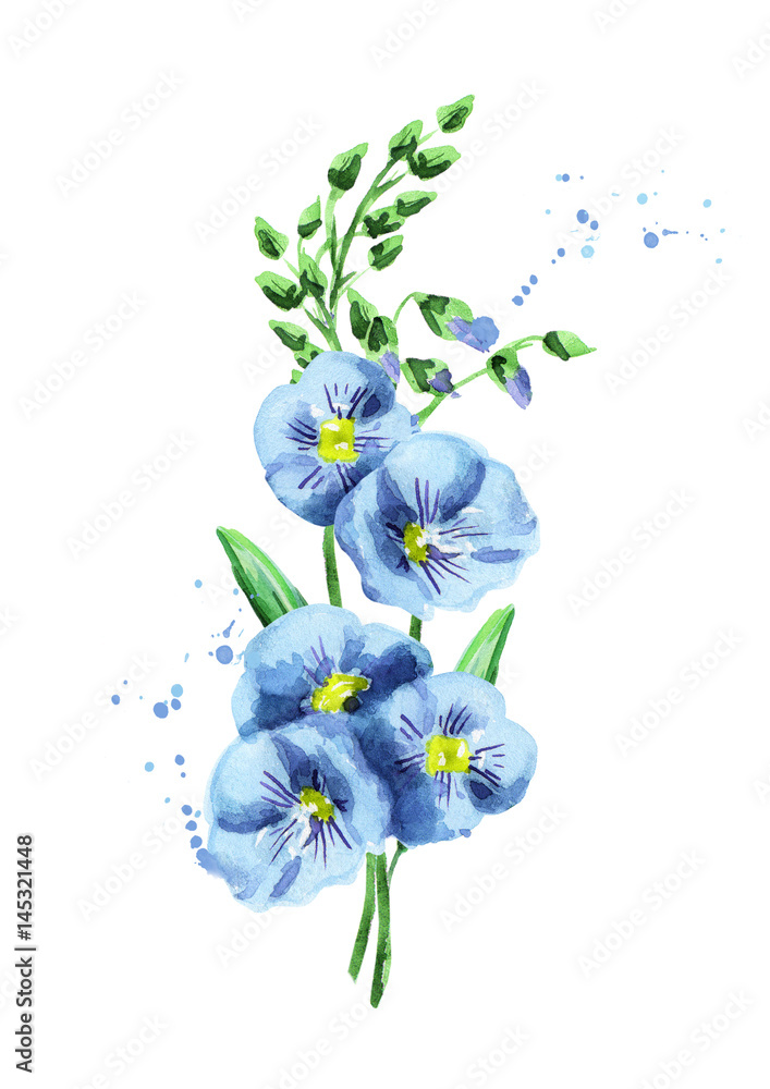Flax flower. Watercolor Flax flower. Watercolor