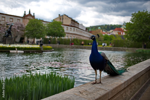 Prag